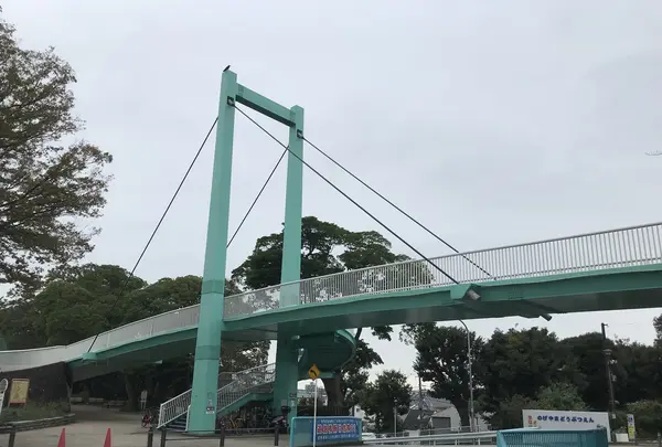 伊勢山皇大神宮の写真・動画_image_226341