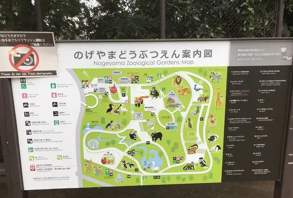 伊勢山皇大神宮の写真・動画_image_226346