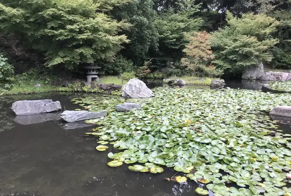 伊勢山皇大神宮の写真・動画_image_226356