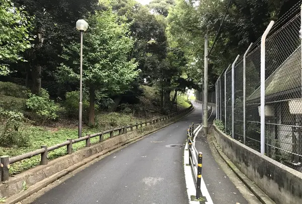 伊勢山皇大神宮の写真・動画_image_226366