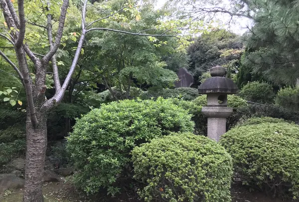 伊勢山皇大神宮の写真・動画_image_226368
