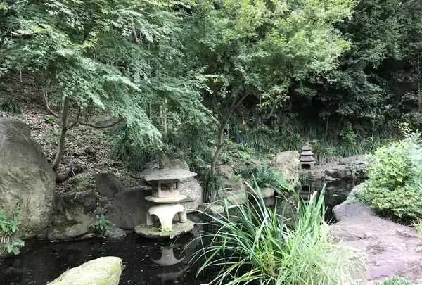 伊勢山皇大神宮の写真・動画_image_226372