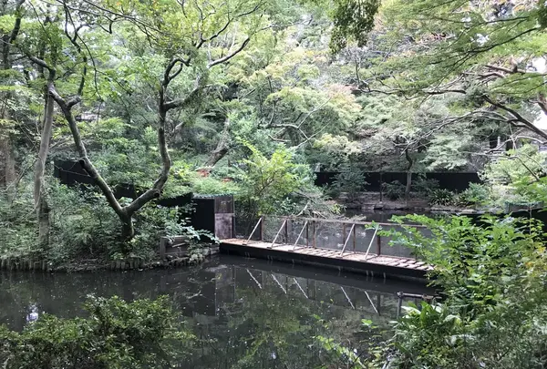 伊勢山皇大神宮の写真・動画_image_226375