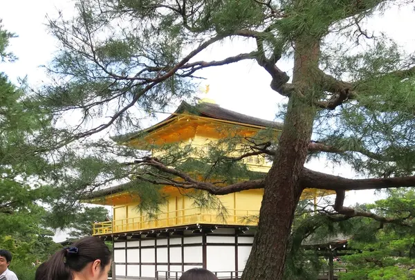 金閣寺（鹿苑寺）の写真・動画_image_226476