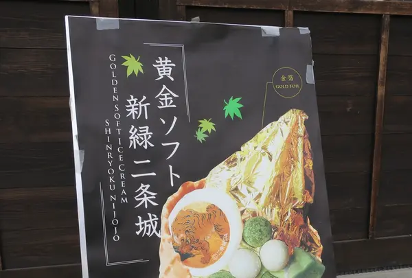 元離宮 二条城の写真・動画_image_226482