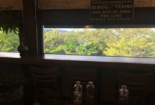 足羽山デッキの写真・動画_image_226560