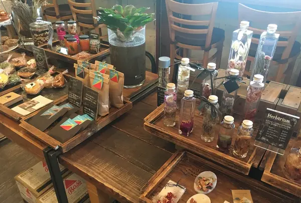 足羽山デッキの写真・動画_image_226561