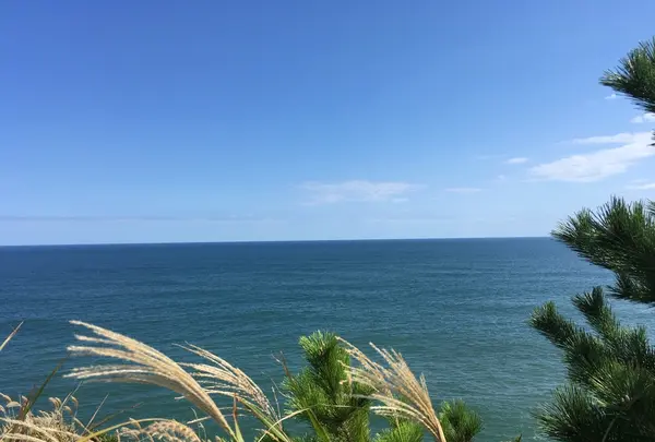 鵜ノ尾岬の写真・動画_image_226574