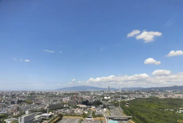 Redhorse OSAKA WHEELの写真・動画_image_226855