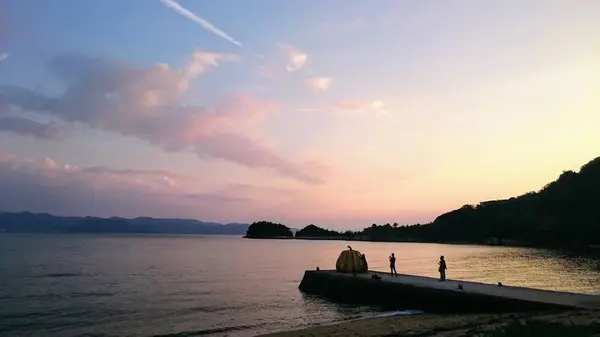 草間彌生「南瓜」の写真・動画_image_226972