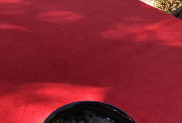 金閣寺（鹿苑寺）の写真・動画_image_227274