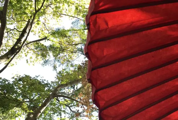 金閣寺（鹿苑寺）の写真・動画_image_227275