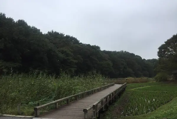 多聞の写真・動画_image_227320
