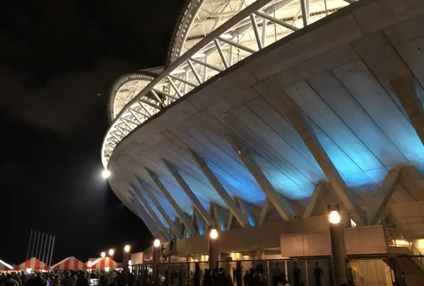 デンカビッグスワンスタジアムの写真・動画_image_227347