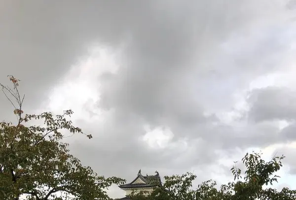 新発田城跡の写真・動画_image_227369