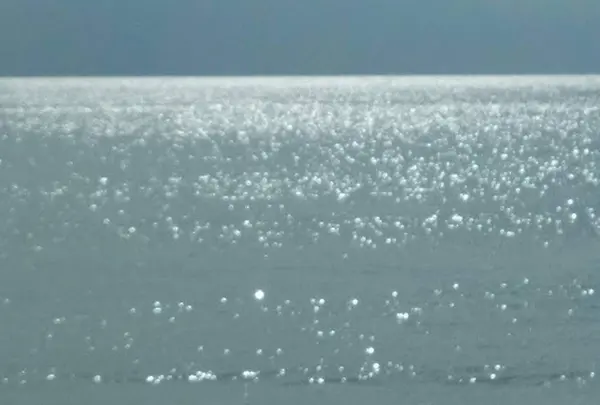 鵜原海岸 白い鳥居の写真・動画_image_227445