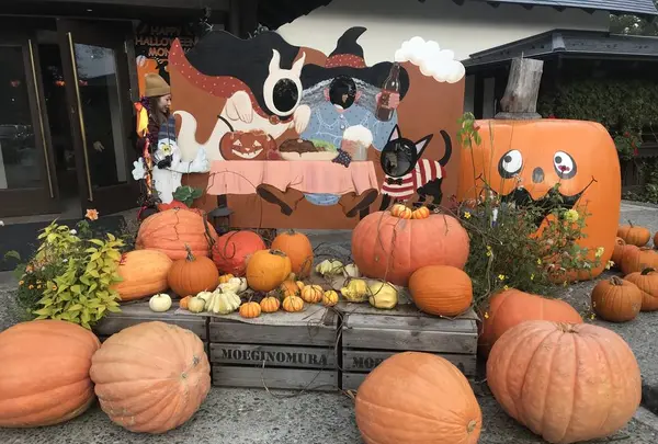 萌木の村　メイフェアの写真・動画_image_227548