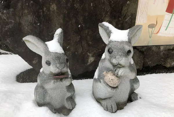 出雲大社の写真・動画_image_227743