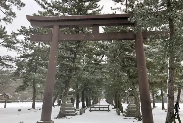 出雲大社の写真・動画_image_227744