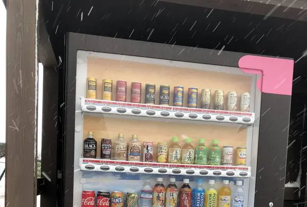 甘味喫茶・お好み焼 みちくさの写真・動画_image_227758
