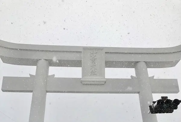 出雲大社の写真・動画_image_227764