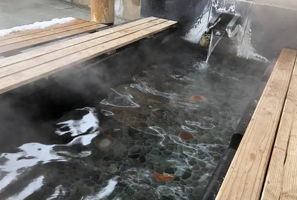 玉造温泉の写真・動画_image_227795