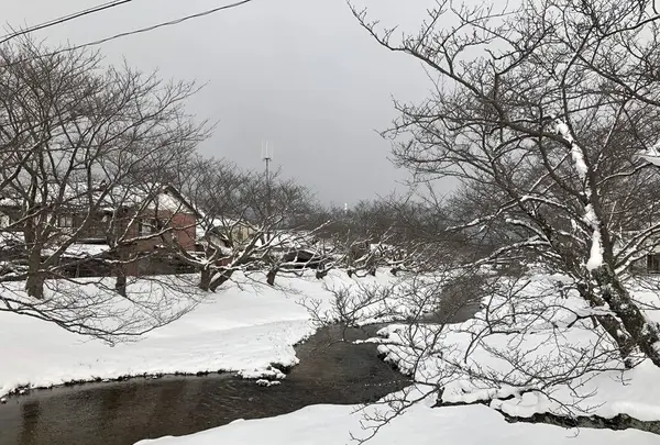 玉造温泉の写真・動画_image_227798