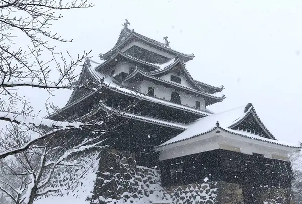 松江城の写真・動画_image_227804