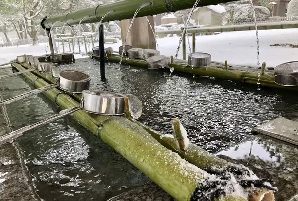 出雲大社の写真・動画_image_227846