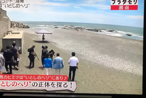 照ヶ崎海岸の写真・動画_image_228102