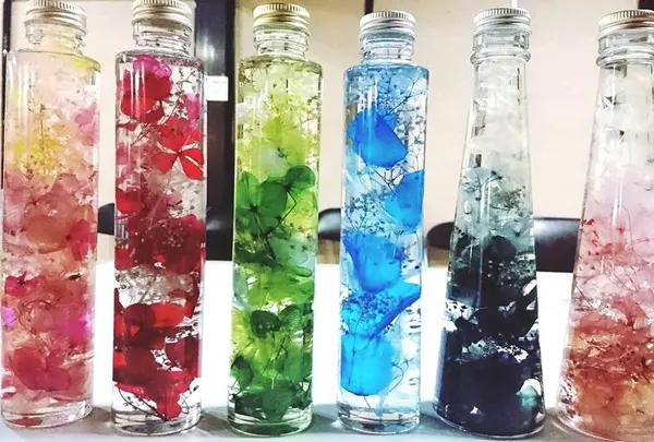 高島びれっじの写真・動画_image_228161