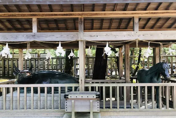 出雲大社の写真・動画_image_228287