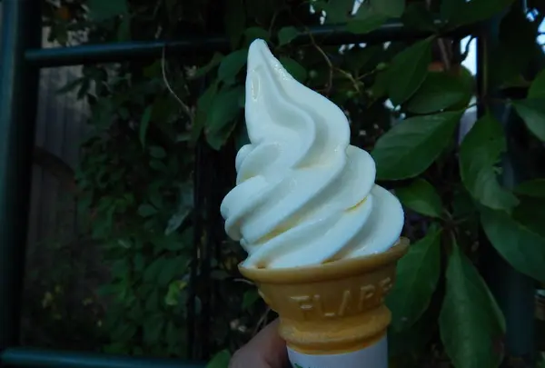 平泉寺白山神社の写真・動画_image_228626