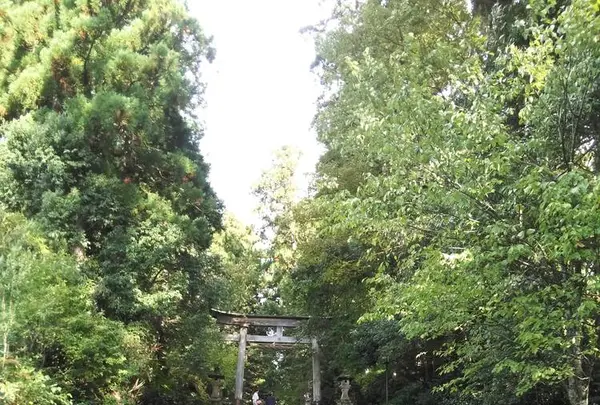 平泉寺白山神社の写真・動画_image_228630