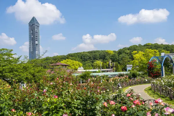 東山動物園の写真・動画_image_228667