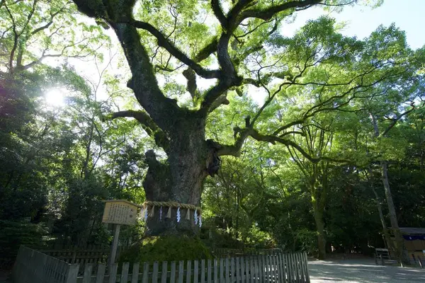 熱田神宮の写真・動画_image_228670