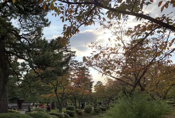 兼六園の写真・動画_image_228790