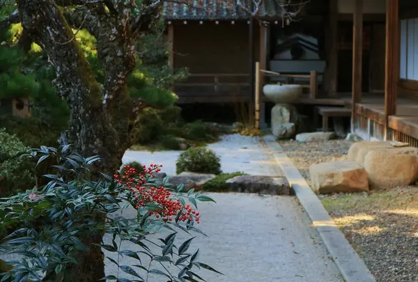 西教寺の写真・動画_image_228849