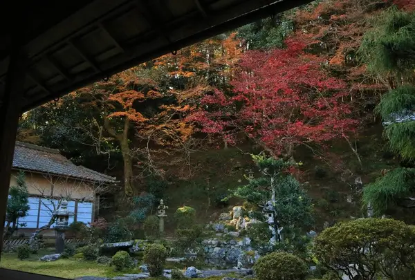 西教寺の写真・動画_image_228854