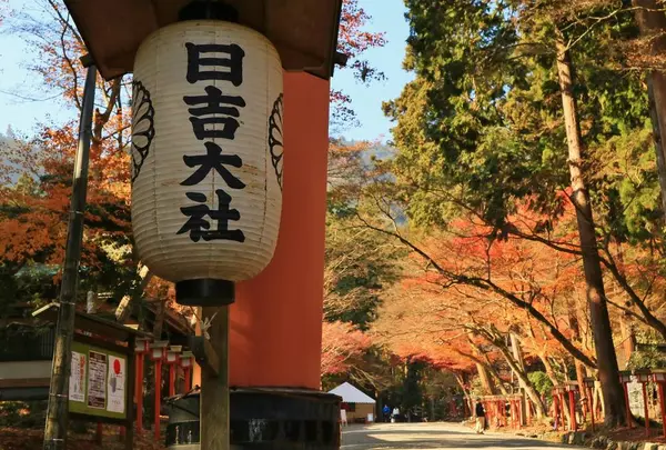 日吉大社の写真・動画_image_228857