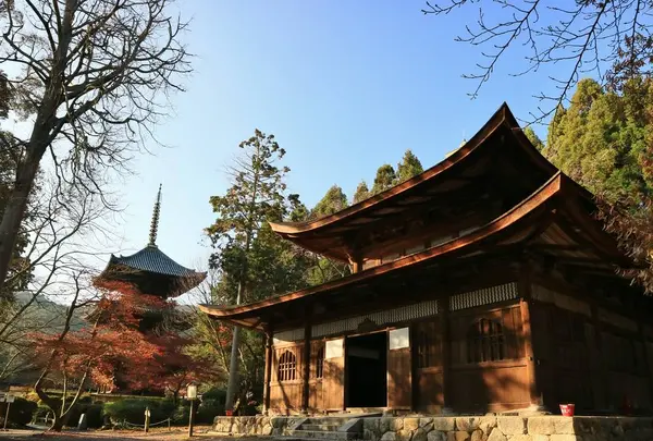 長等山 園城寺（三井寺）の写真・動画_image_228860