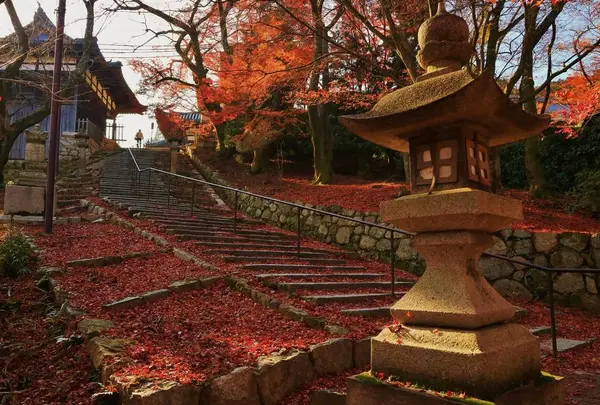 長等山 園城寺（三井寺）の写真・動画_image_228861