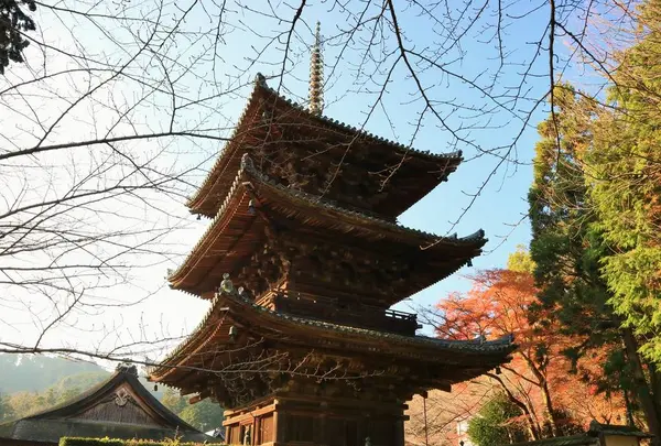 長等山 園城寺（三井寺）の写真・動画_image_228869