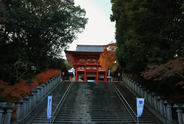 近江神宮の写真・動画_image_228879