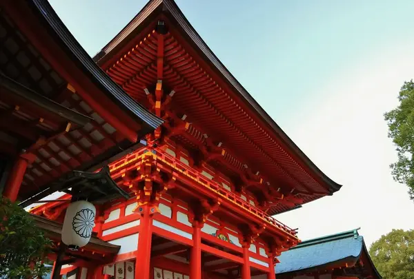 近江神宮の写真・動画_image_228882