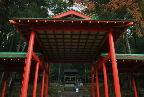 近江神宮の写真・動画_image_228883