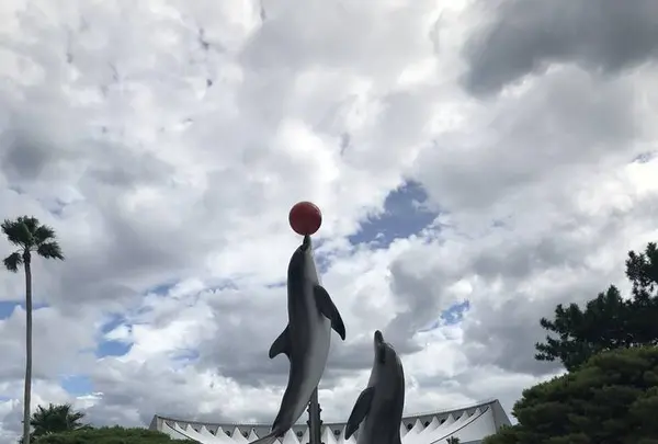 海の中道海浜公園の写真・動画_image_228898