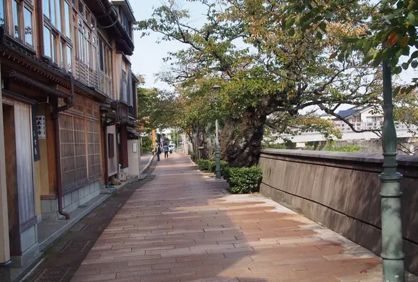 主計町茶屋街の写真・動画_image_228925