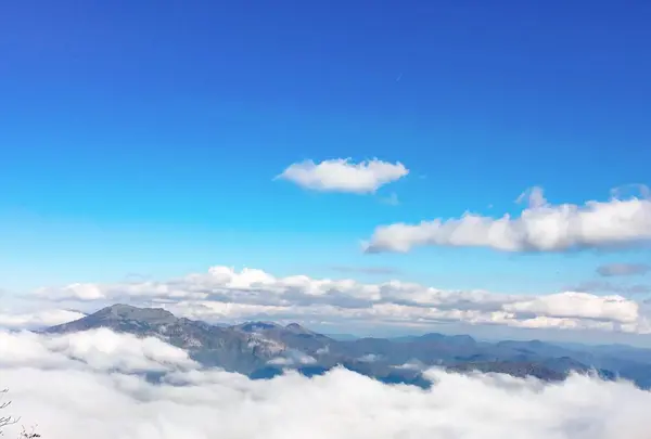 石鎚山の写真・動画_image_229134