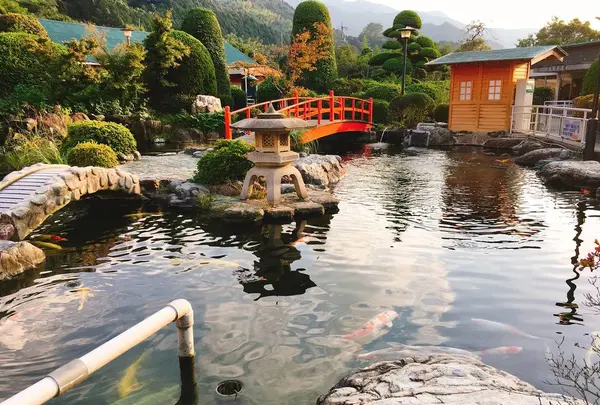 りんりんパークーの写真・動画_image_229174